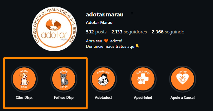 Ver destaques no Instagram